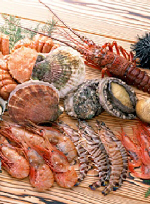 Import living lobsters and abalones
